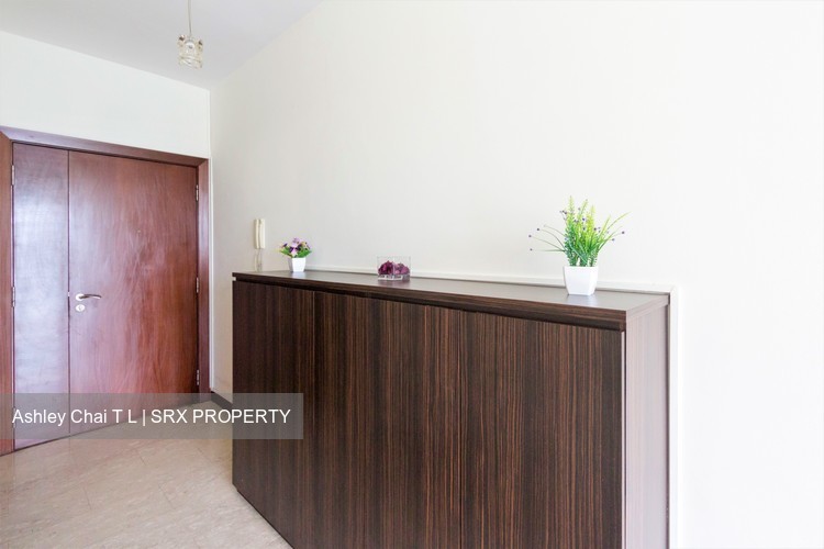 The Eden At Tampines (D18), Condominium #176349552